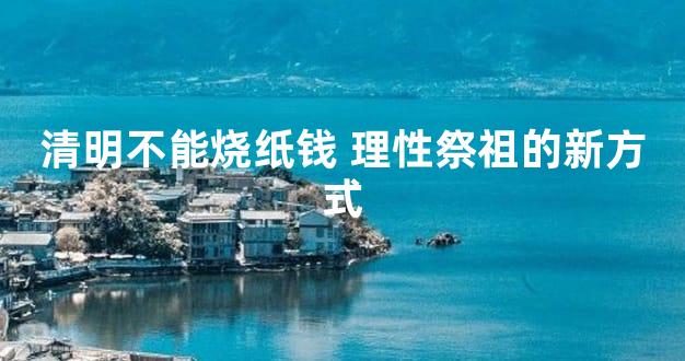 清明不能烧纸钱 理性祭祖的新方式